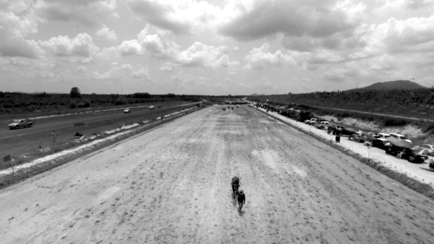 Thai Buffalo Racing final.Still004