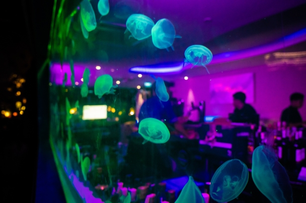 Jellyfish Bar Manila